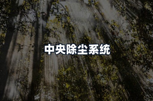 中央除尘系统